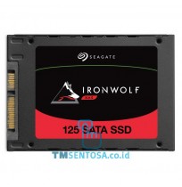 IronWolf 125 NAS SSD 4TB (ZA4000NM1A002)